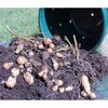 City Pickers Spud Tub Potato Grow Kit, Works Great on Decks and Patios, Low Maintenance & High Potato Yields 2352-1